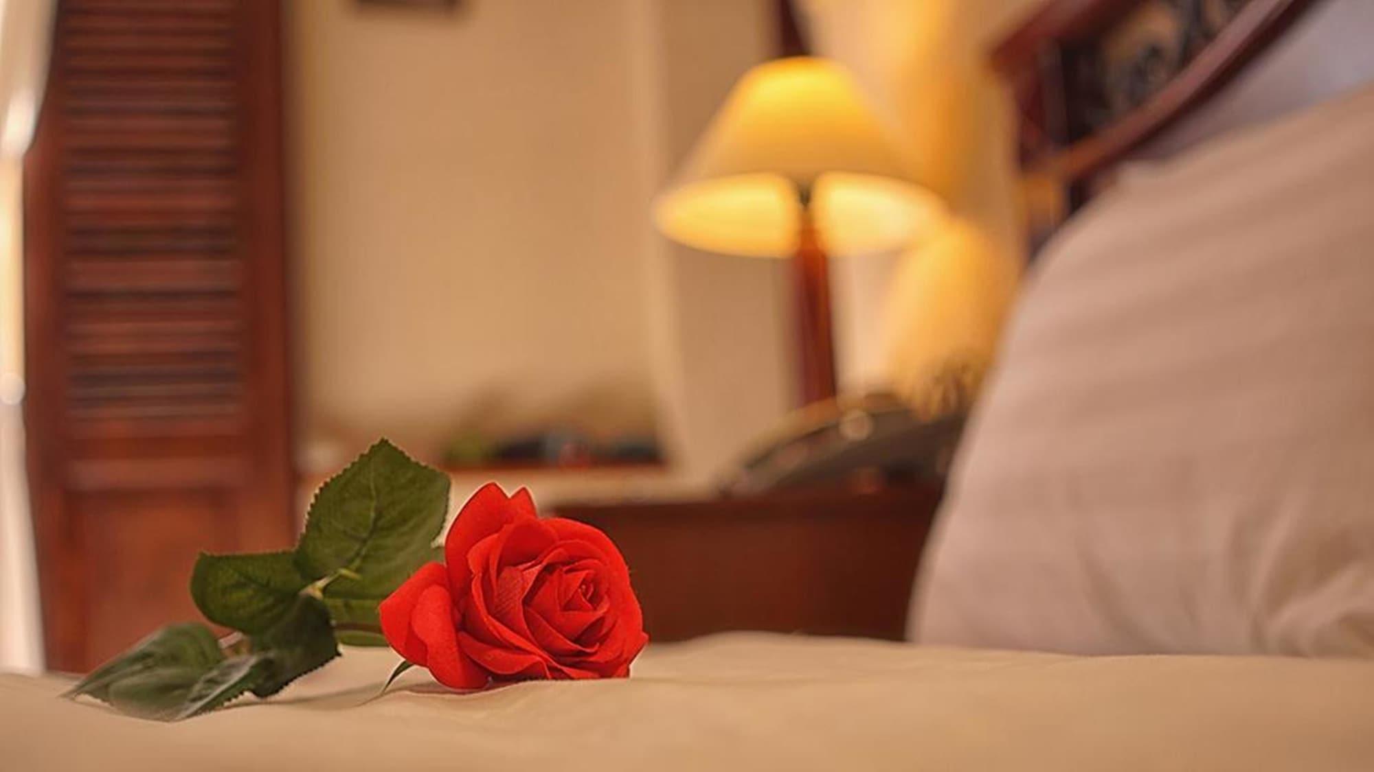 Cam Ly Boutique Apartment & Hotel Ho Chi Minh-byen Eksteriør bilde