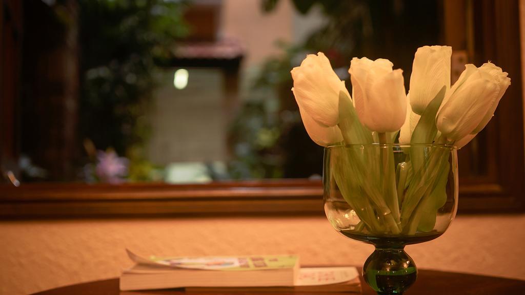 Cam Ly Boutique Apartment & Hotel Ho Chi Minh-byen Eksteriør bilde