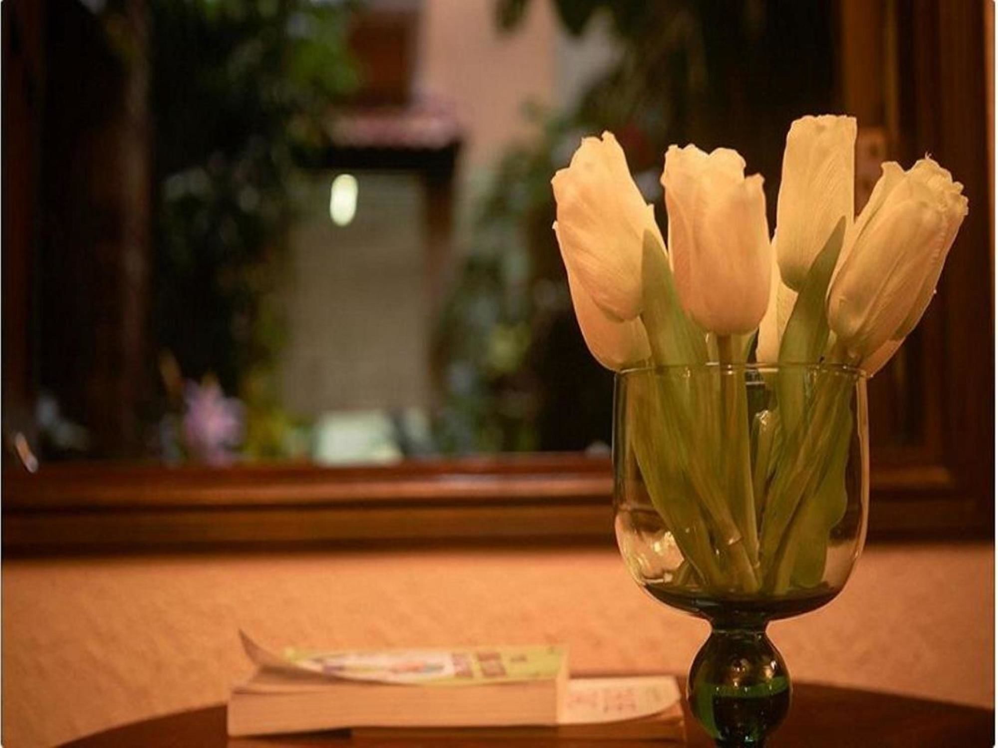 Cam Ly Boutique Apartment & Hotel Ho Chi Minh-byen Eksteriør bilde